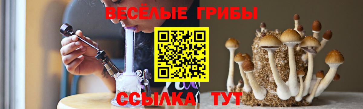 Галлюциногенные грибы Psilocybine cubensis Егорьевск